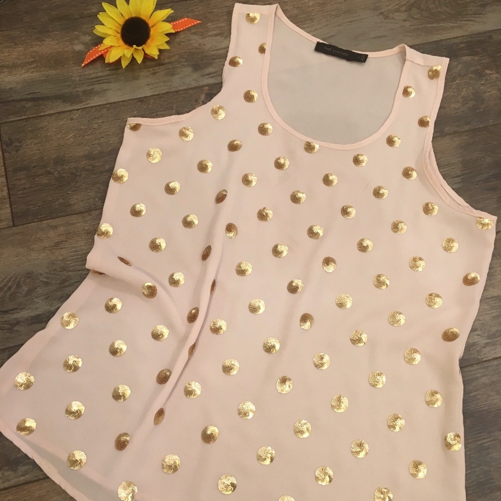💜2/$20💜 The Limited sheer sequined tank